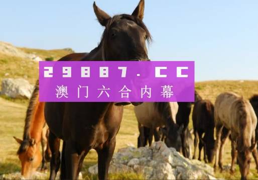 澳门和香港管家婆一肖一码一中一开|精选解析解释落实